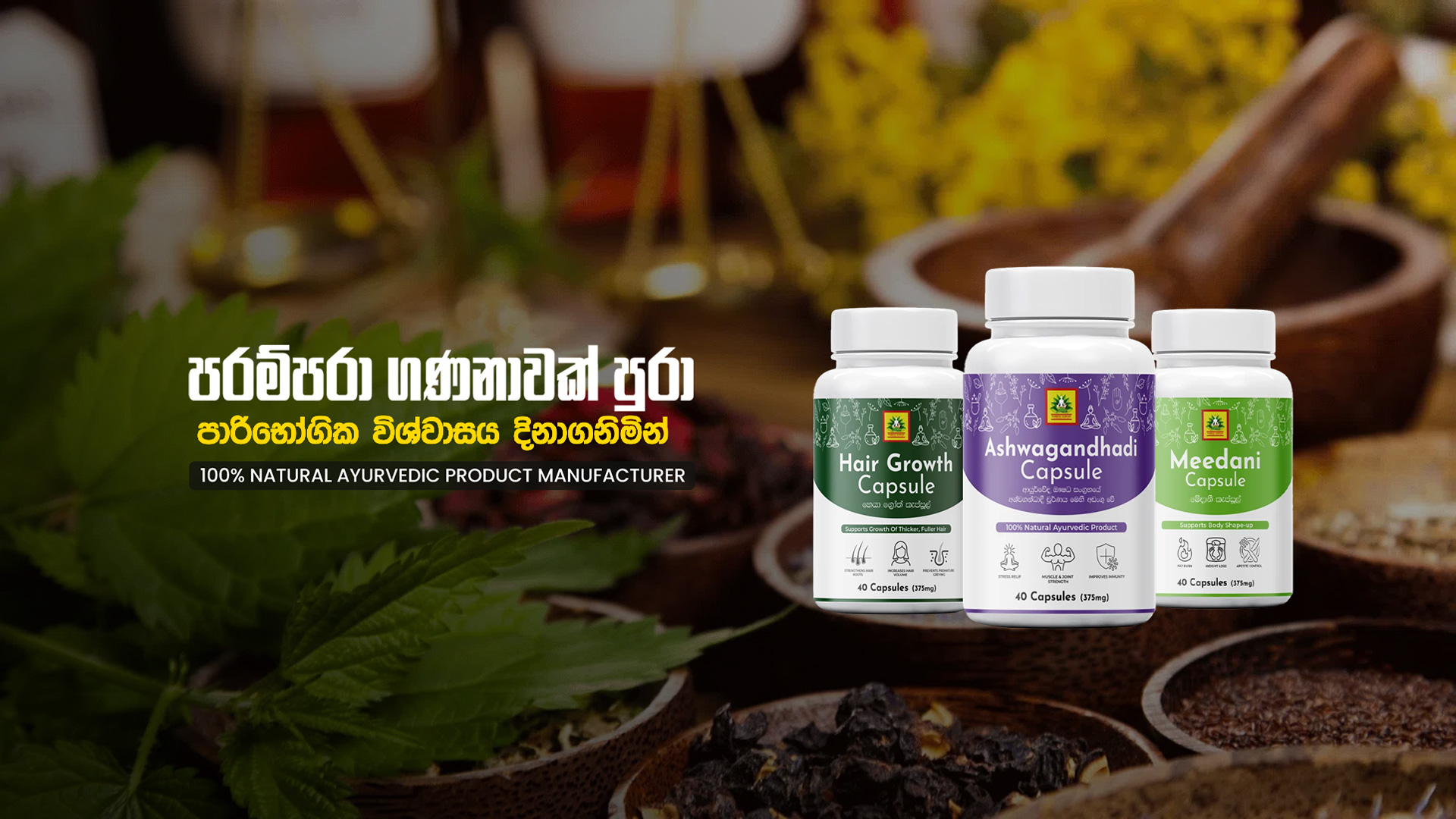 Ayurvedic Background